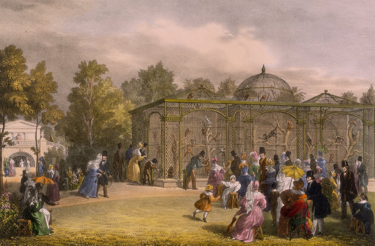 Małpi dom w ogrodach zoologicznych, Regent