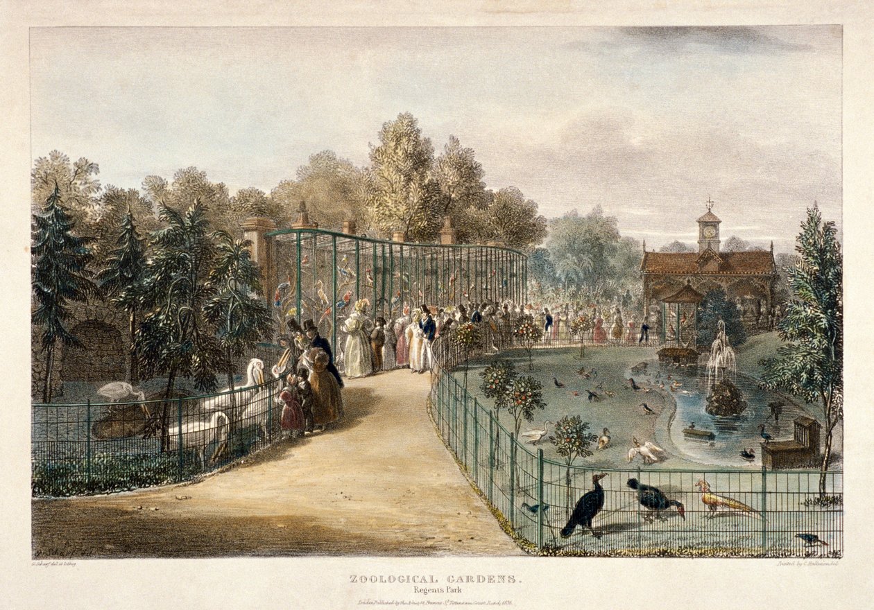 Ogrody Zoologiczne, Regent