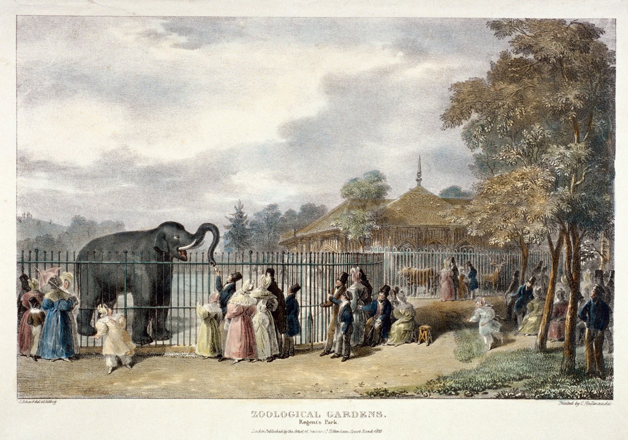 Ogrody Zoologiczne, Regent