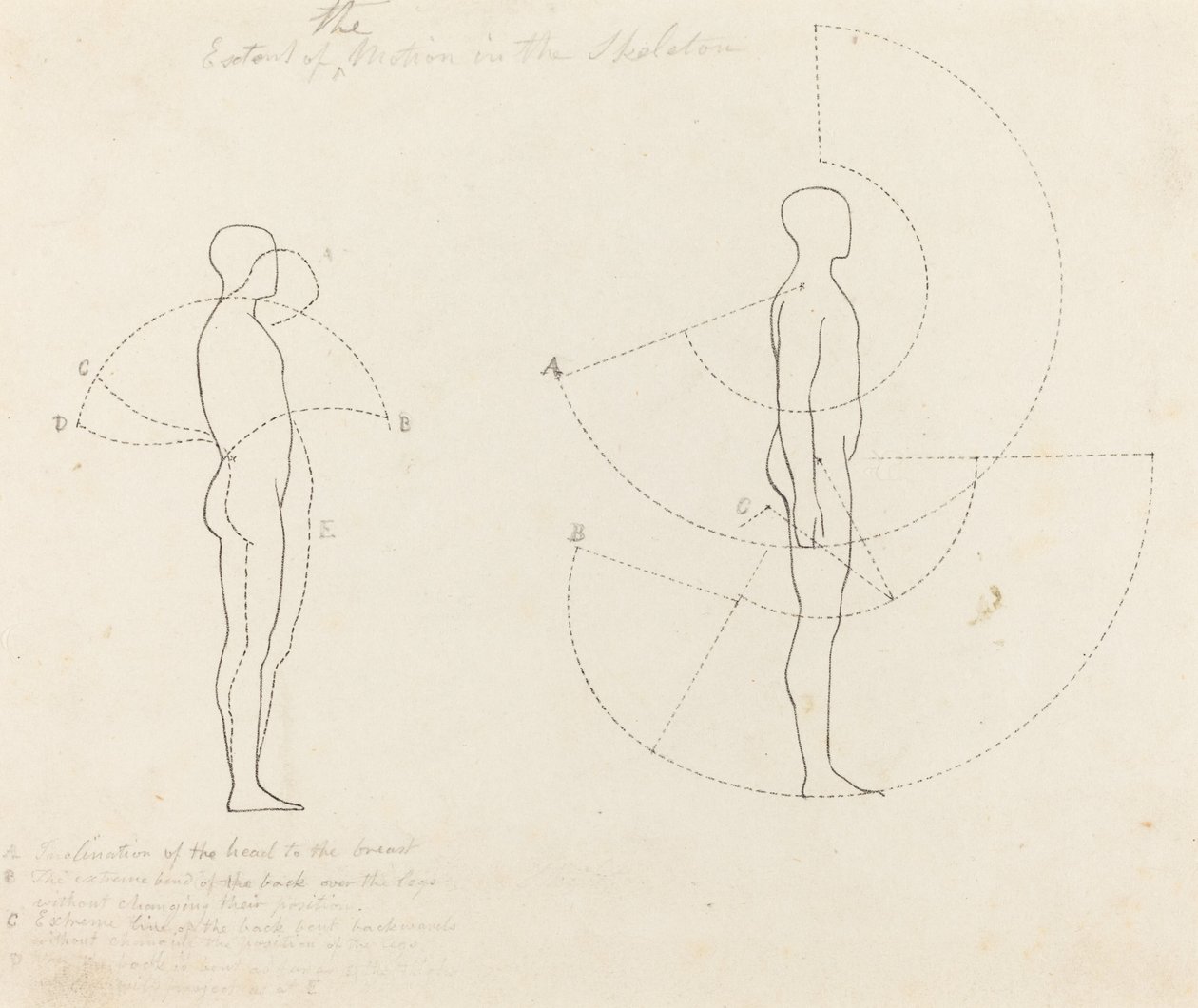 Zakres ruchu pokazany na dwóch rysunkach autorstwa George Scharf after John Flaxman