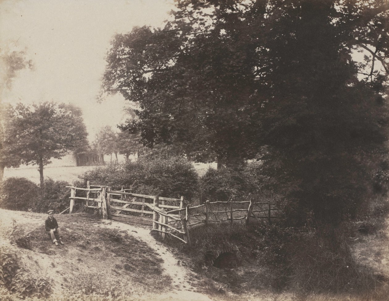 Zielone Łąki, 1854. autorstwa George Shadbolt