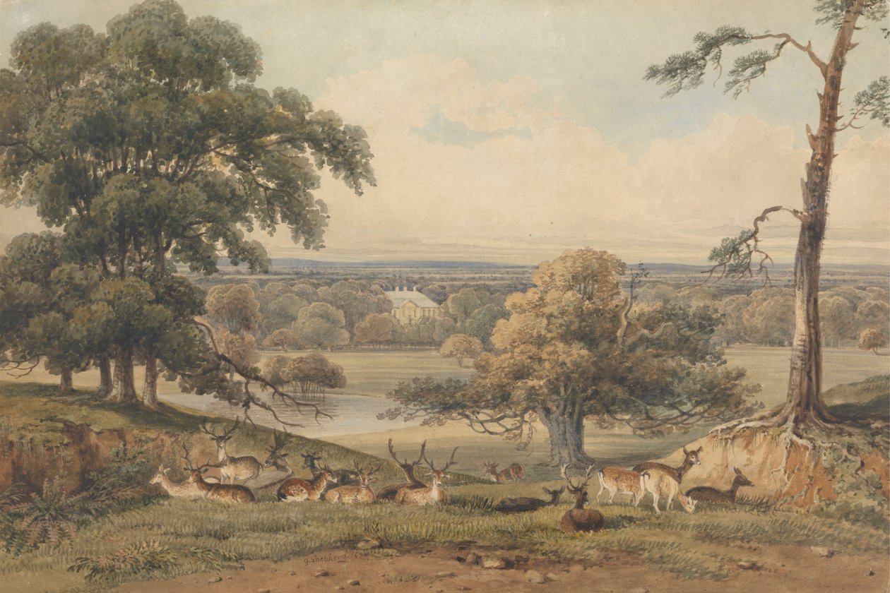 Daleki widok na Ampthill Park autorstwa George Shepherd