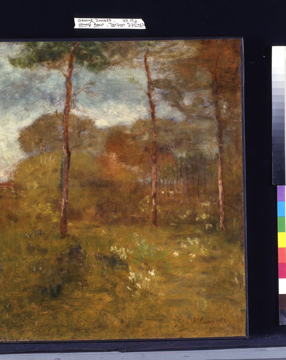 Orange Road, Tarpon Springs (olej na płótnie) autorstwa George Snr. Inness