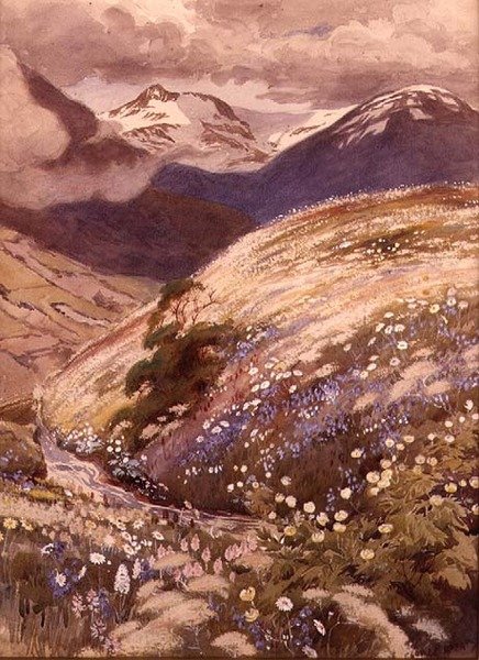 Kwiaty alpejskie (akwarela na papierze) autorstwa George Soper