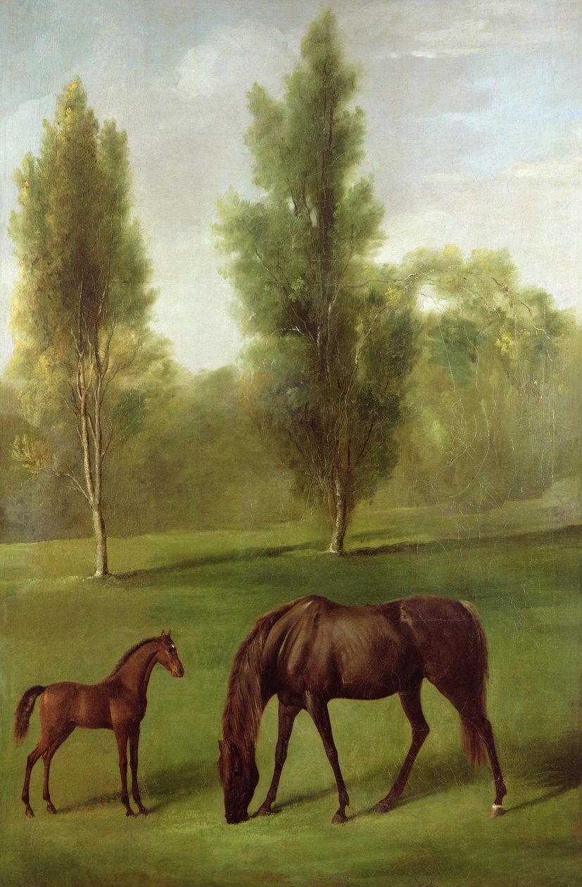 Kasztanowa klacz i źrebię w leśnym krajobrazie, ok. 1761-63 (olej na płótnie) autorstwa George Stubbs