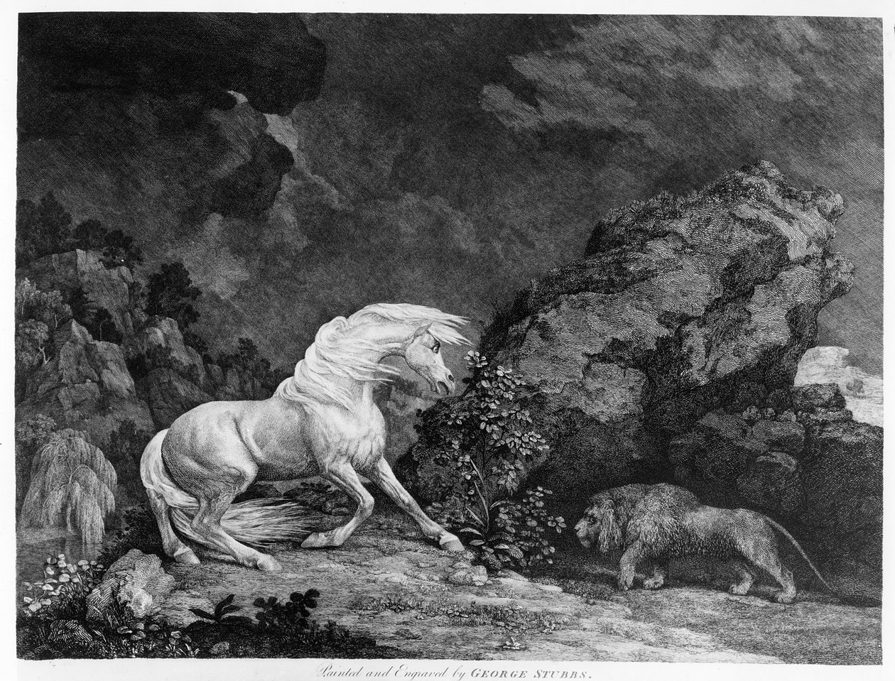 Koń przestraszony przez lwa, rytowany przez artystę, 1777 autorstwa George Stubbs