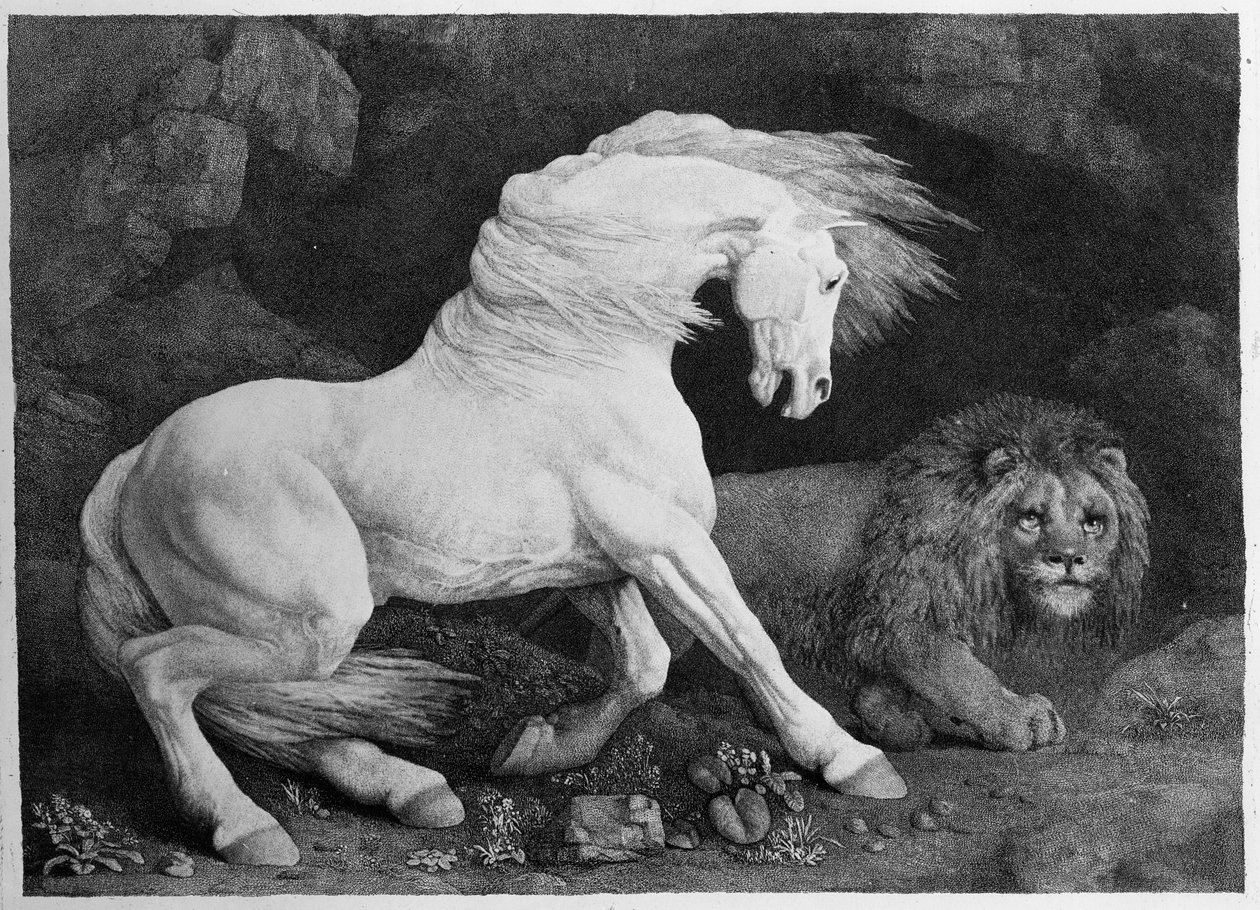 Koń przestraszony przez lwa, rytowany przez artystę, 1788 autorstwa George Stubbs