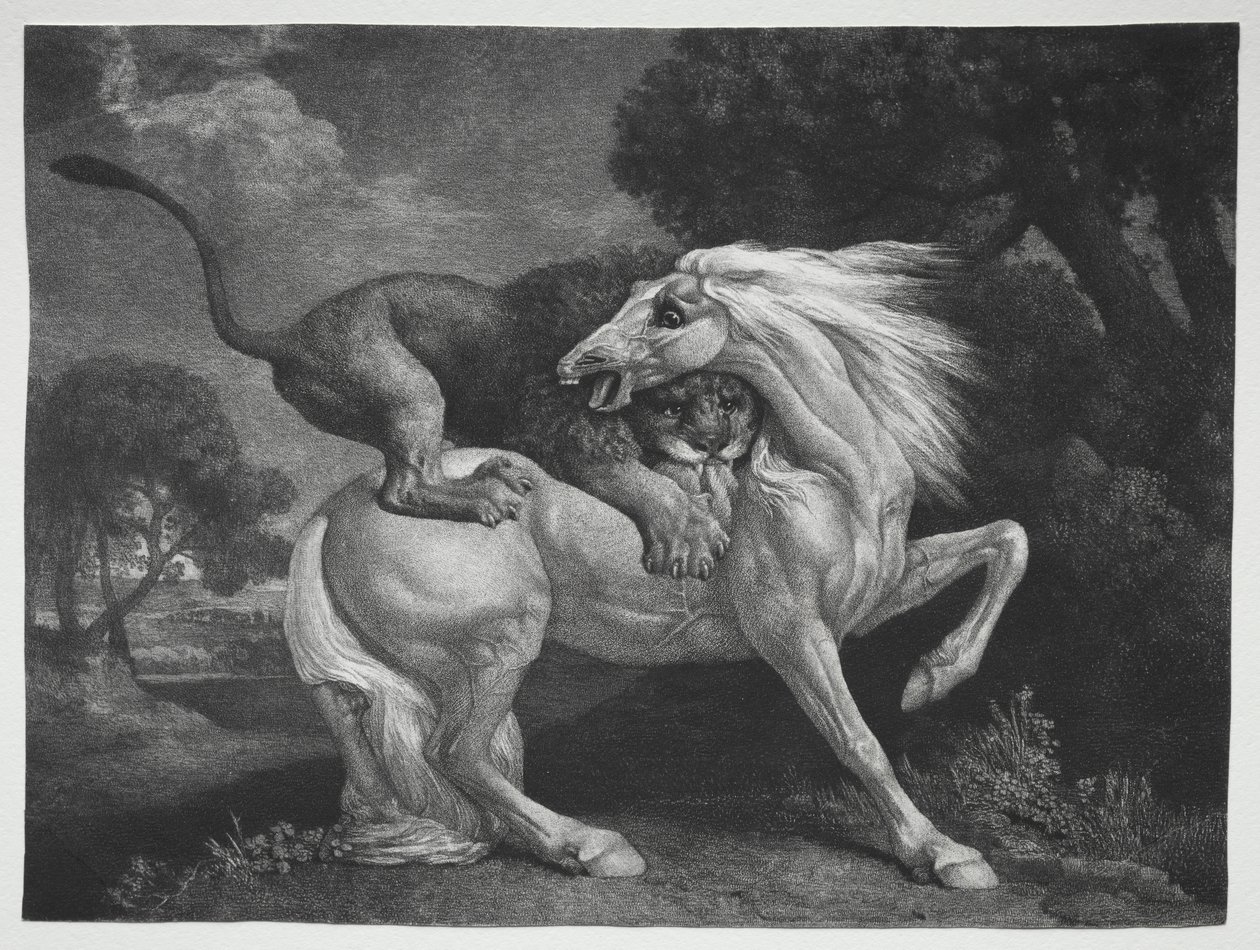 Koń zaatakowany przez lwa autorstwa George Stubbs