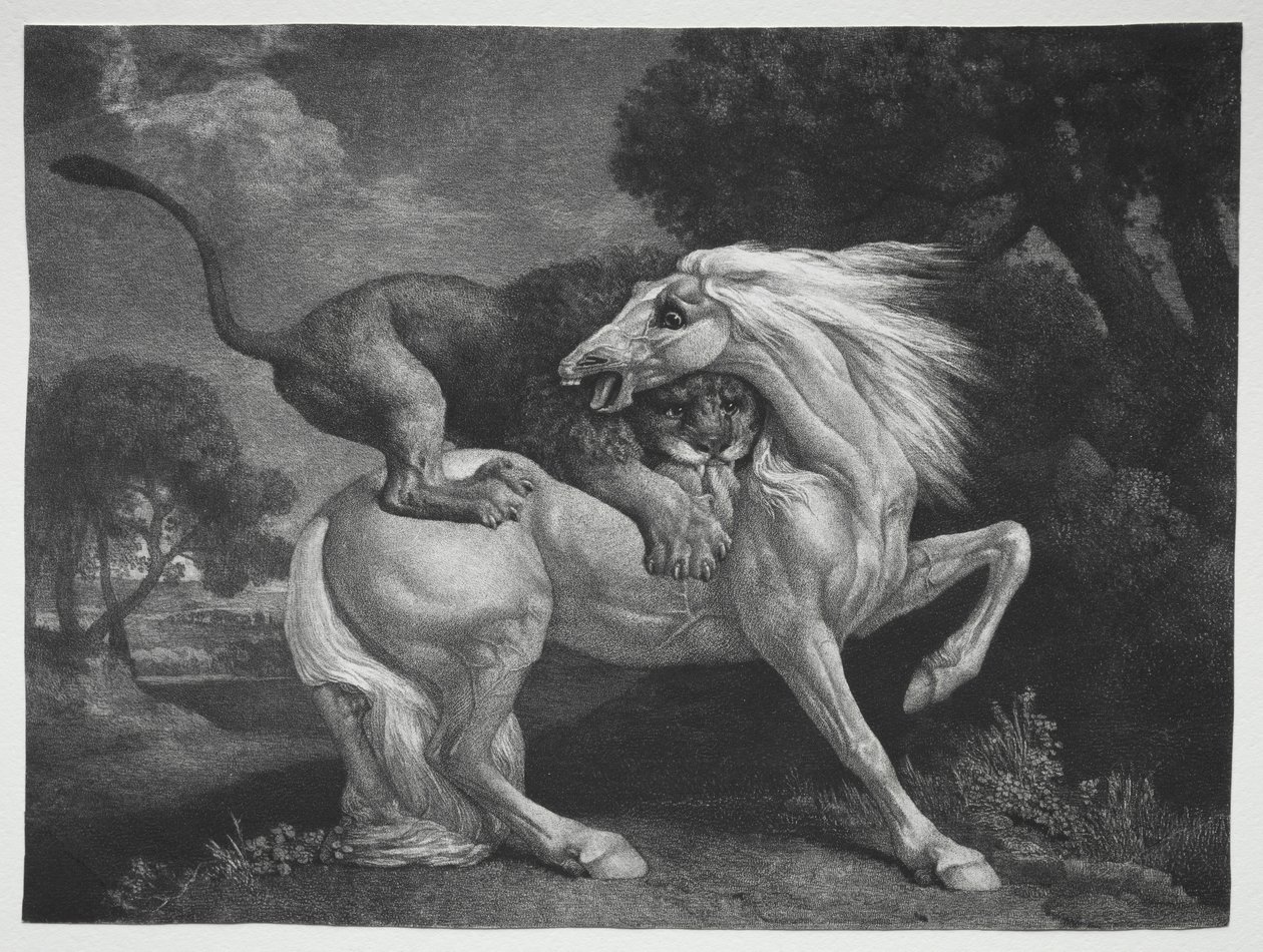 Koń zaatakowany przez lwa, 1788. autorstwa George Stubbs
