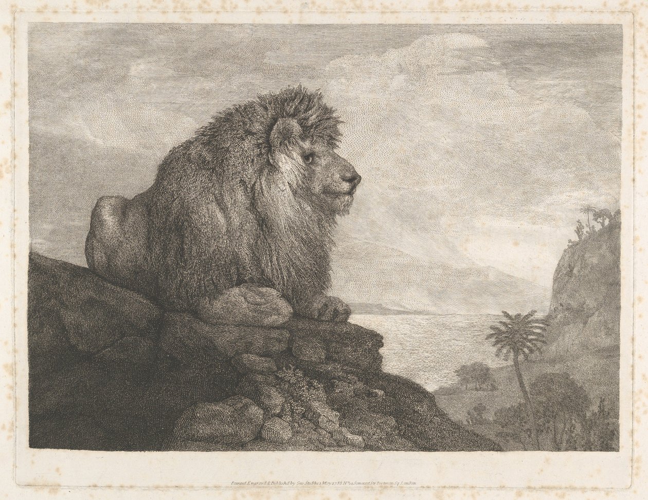 Lew (lew odpoczywający na skale) autorstwa George Stubbs
