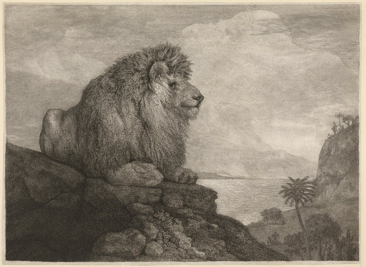 Grawerowany przez artystę Lew (Lew odpoczywający na skale) autorstwa George Stubbs
