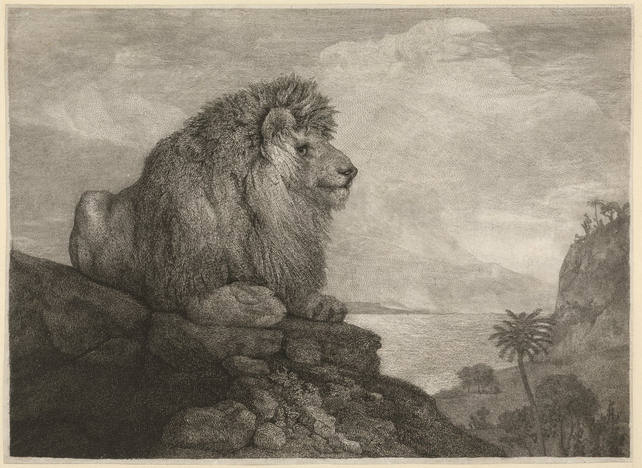 Lew [Lew odpoczywający na skale] autorstwa George Stubbs