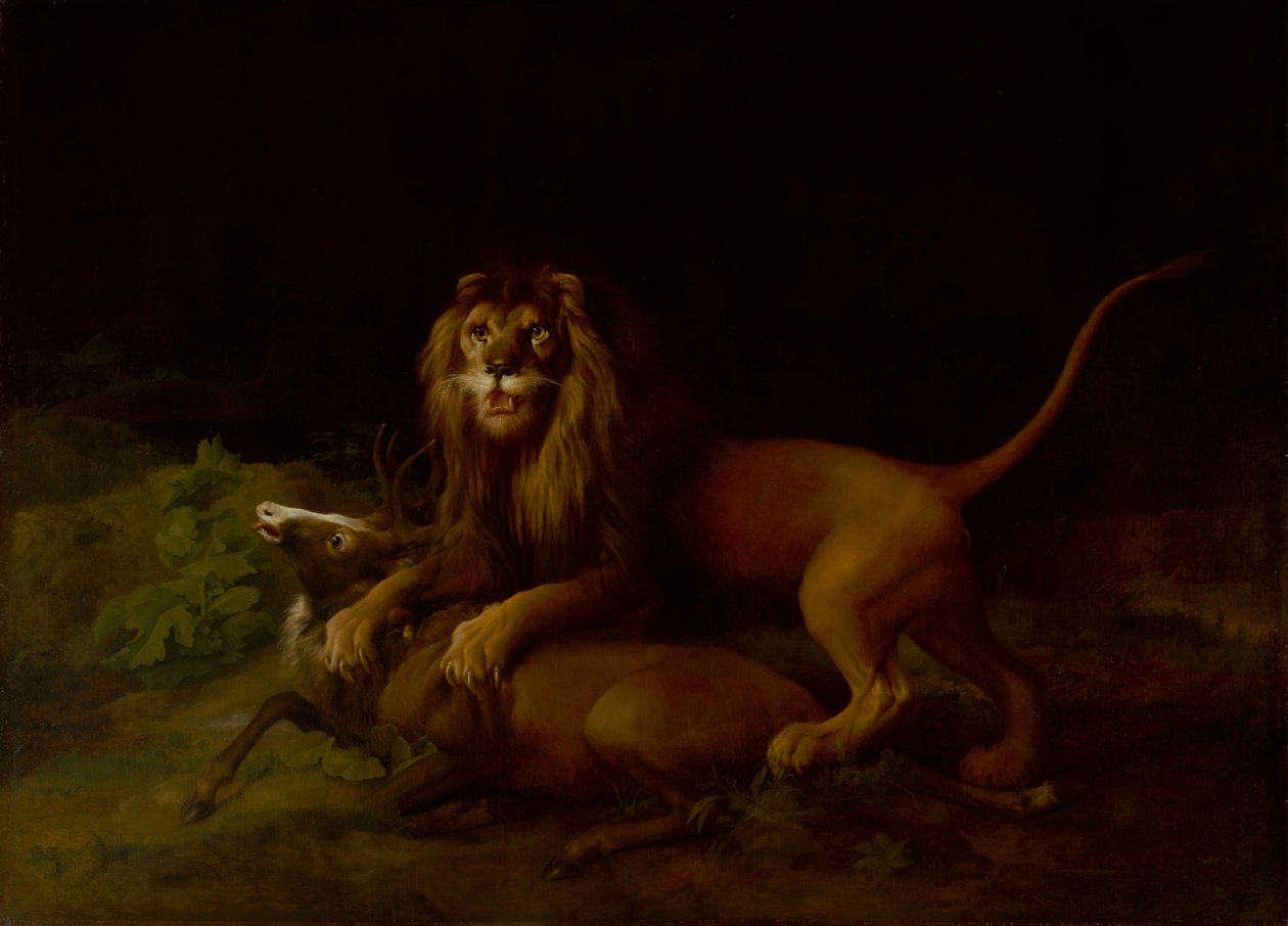 Lew atakujący jelenia, między 1765 a 1766 rokiem. autorstwa George Stubbs