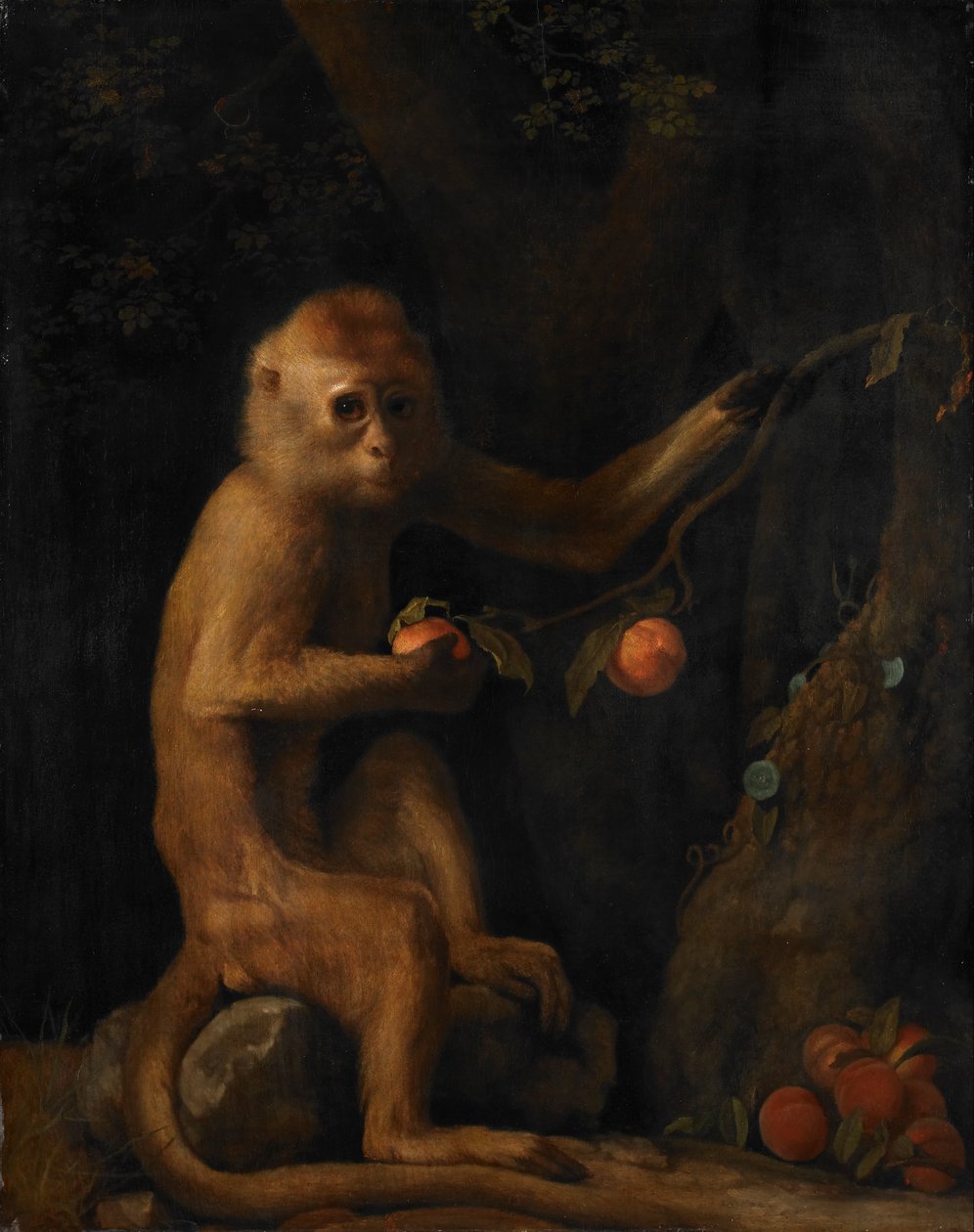 Małpa autorstwa George Stubbs