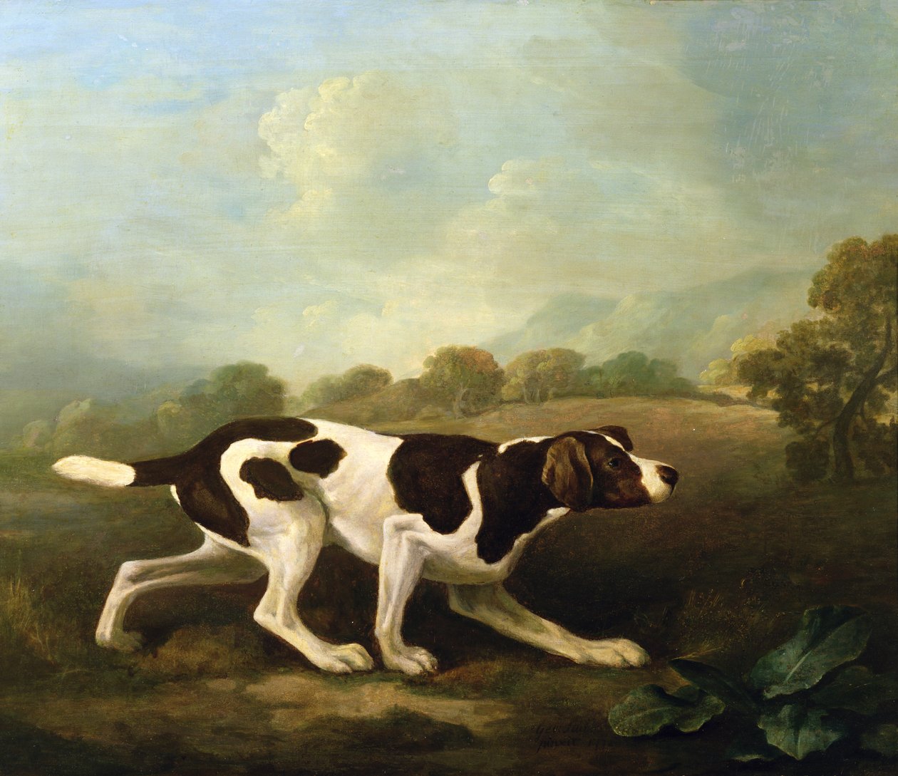 Wskaźnik (olej na płótnie) (dla par patrz 266117) autorstwa George Stubbs