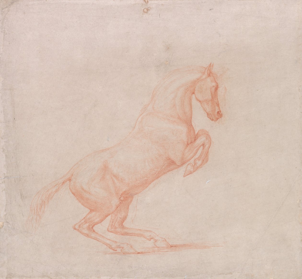 Pędzący koń, zwrócony w prawo autorstwa George Stubbs