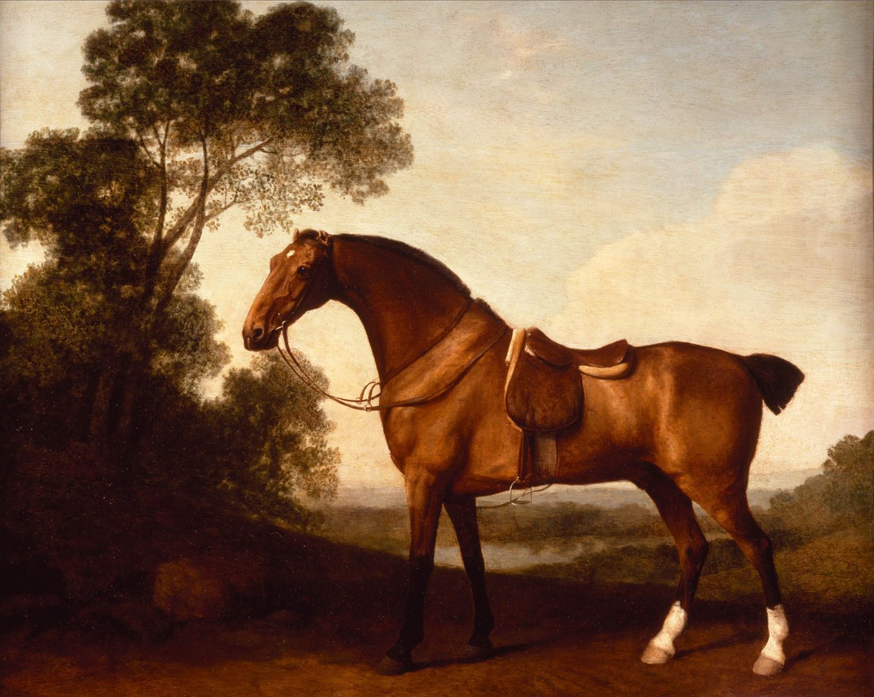 Osiodłany łowca z zatoki autorstwa George Stubbs