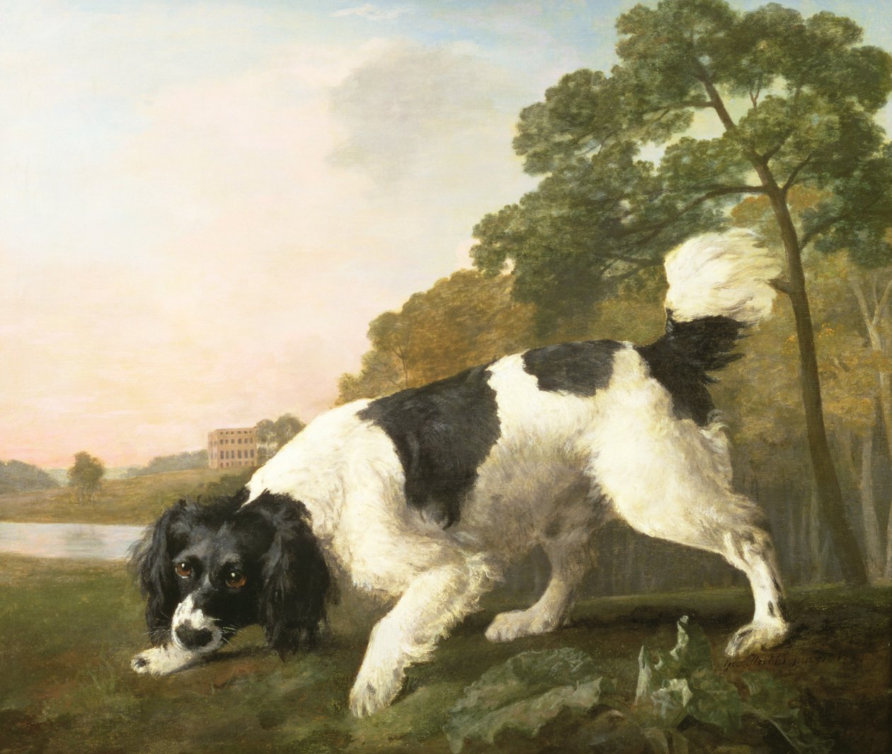Spaniel w pejzażu, 1771 autorstwa George Stubbs