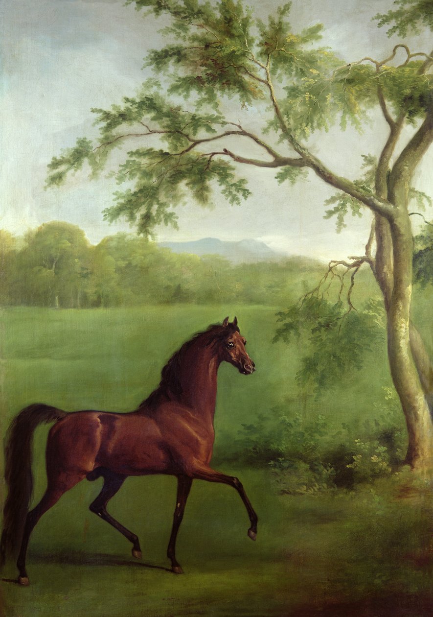 Ogier arabski pod drzewem, ok. 1761-63 (olej na płótnie) autorstwa George Stubbs