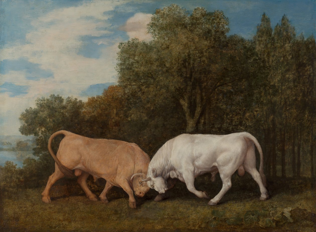 Walka byków, 1786. autorstwa George Stubbs