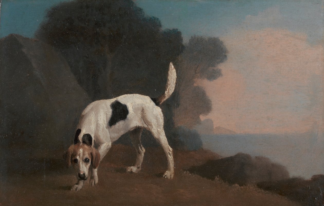Foxhound autorstwa George Stubbs
