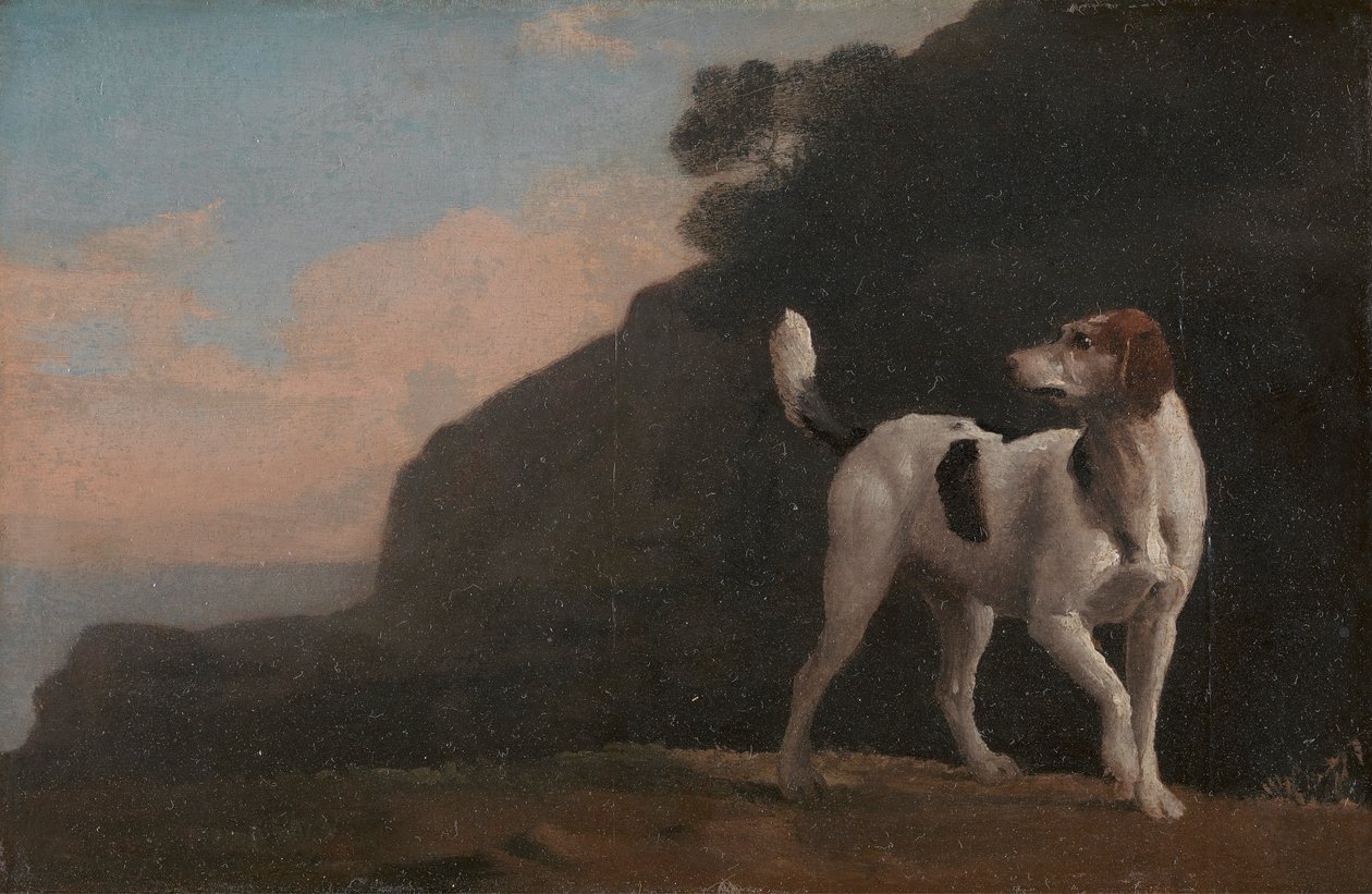 Lisica autorstwa George Stubbs