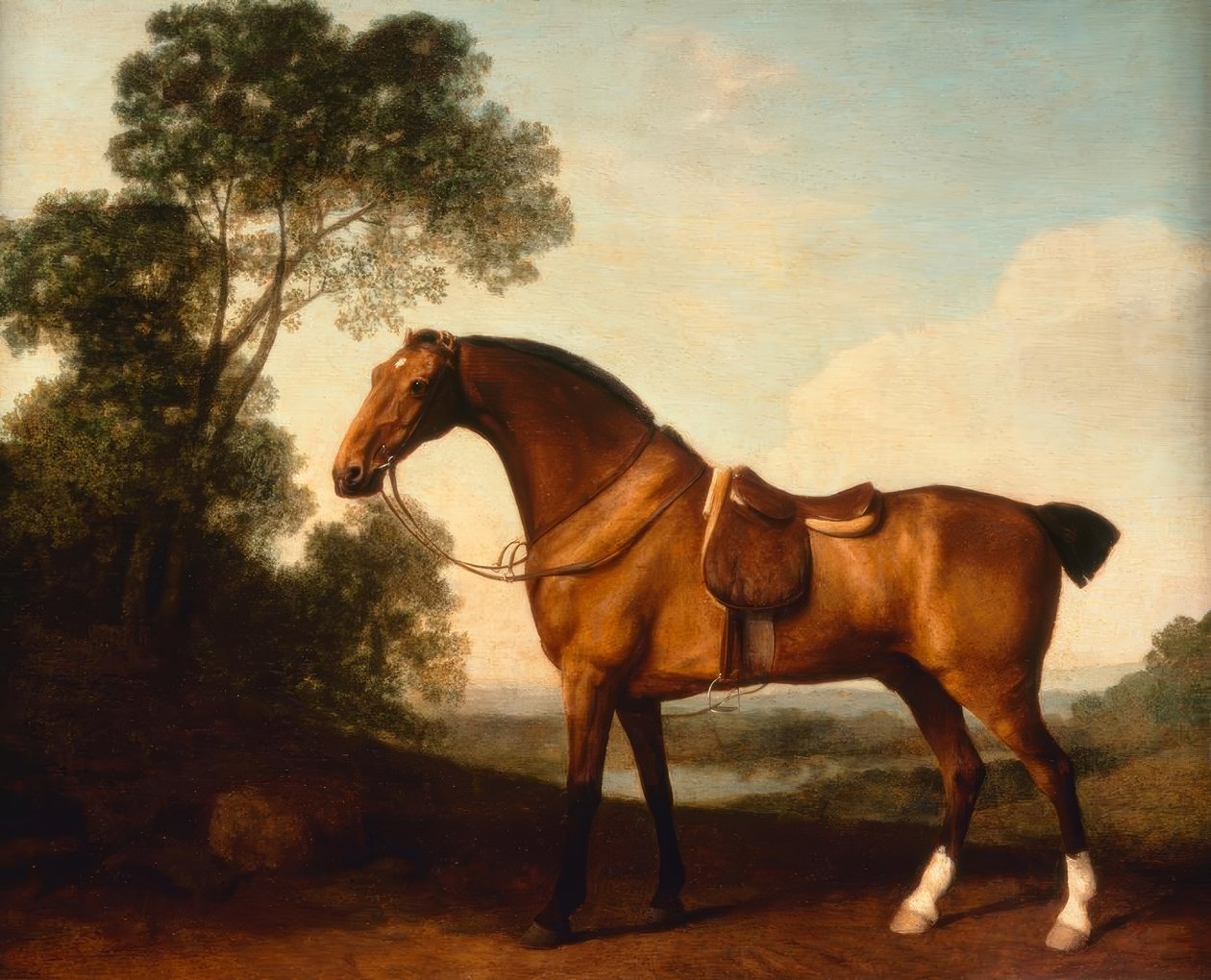 G. Stubbs, Osiodłany Łowca Bay autorstwa George Stubbs