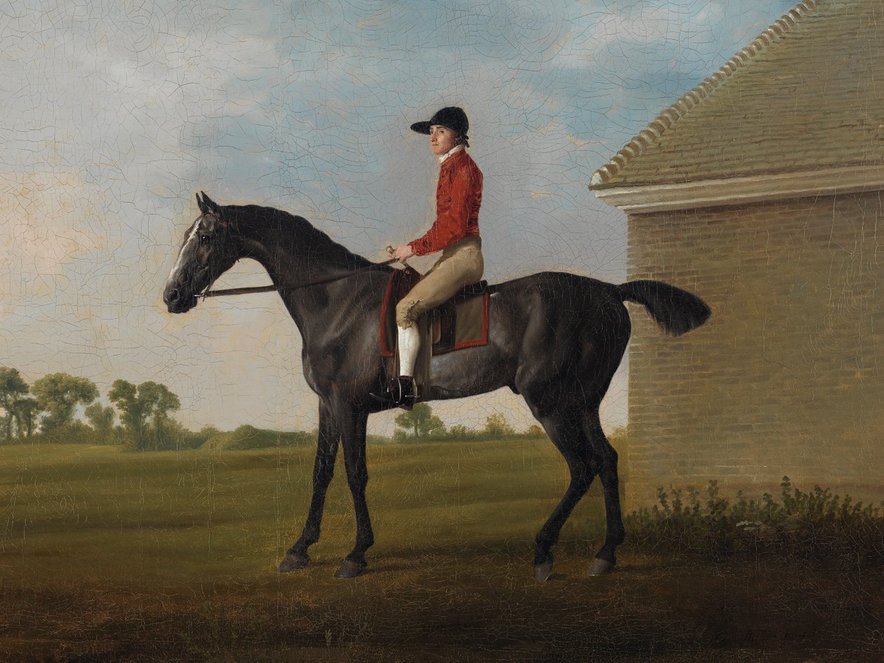 Gimcrack, z Johnem Prattem w górę, na Newmarket Heath, 1795 autorstwa George Stubbs