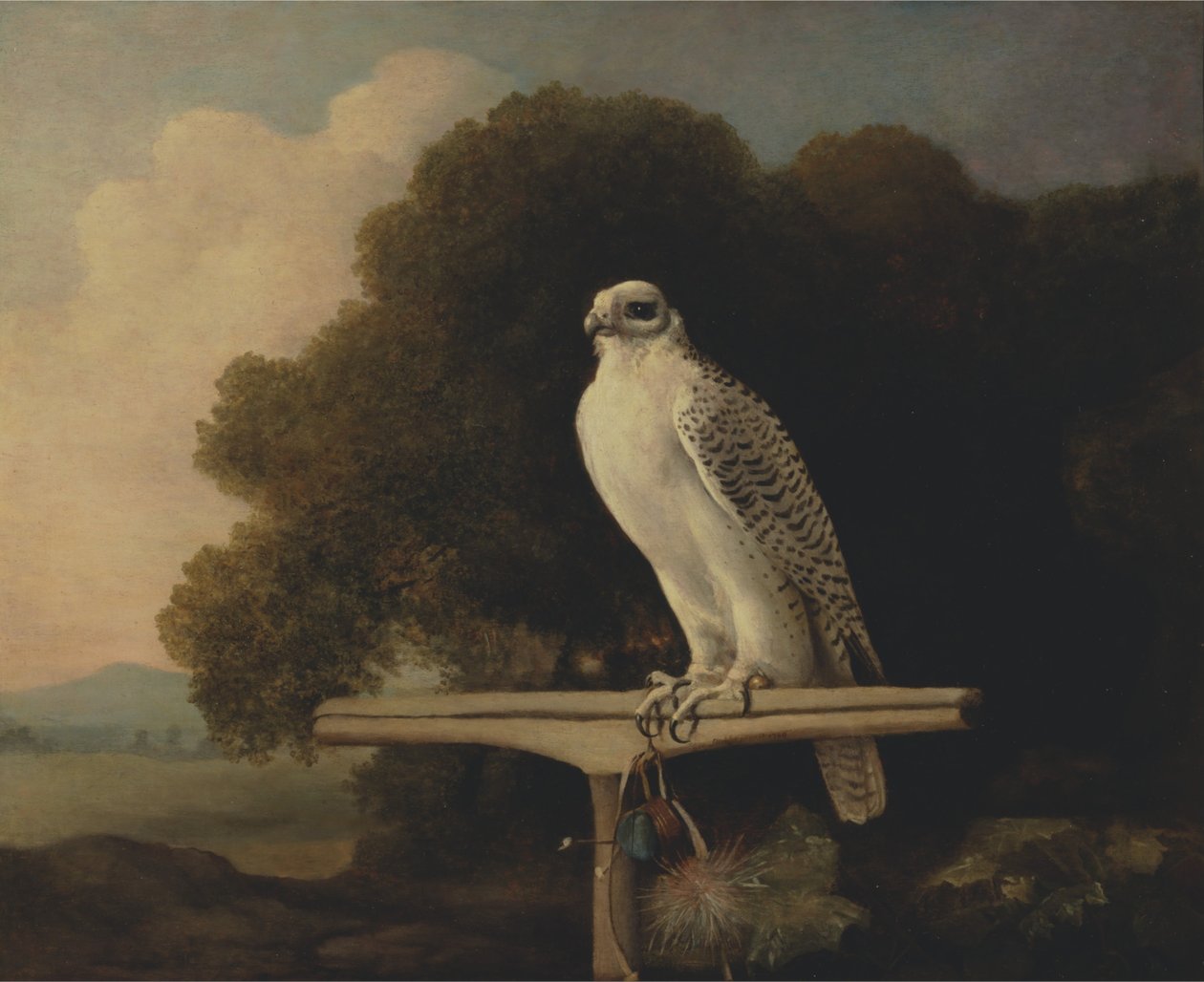 Sokół grenlandzki autorstwa George Stubbs