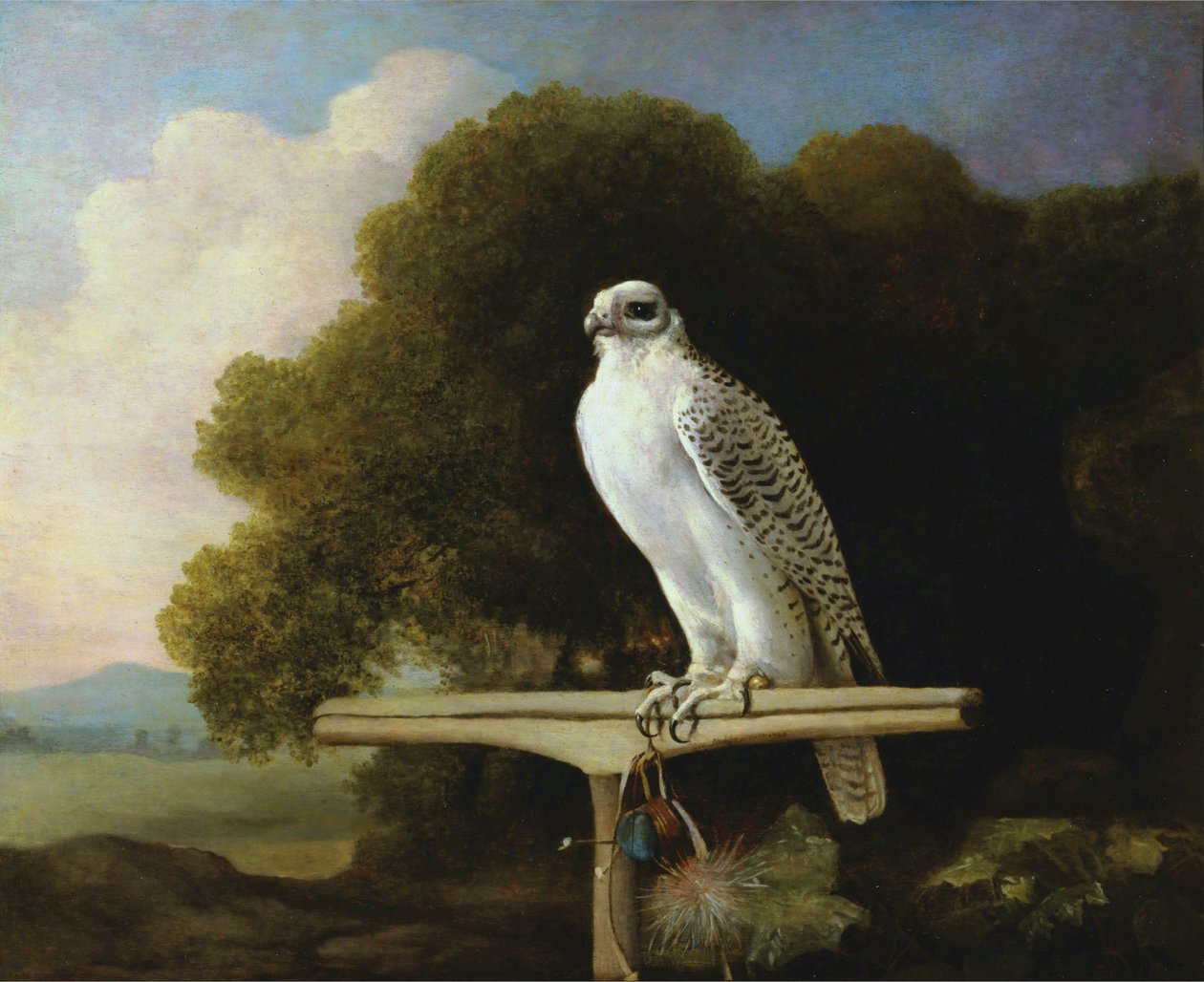 Sokół grenlandzki autorstwa George Stubbs