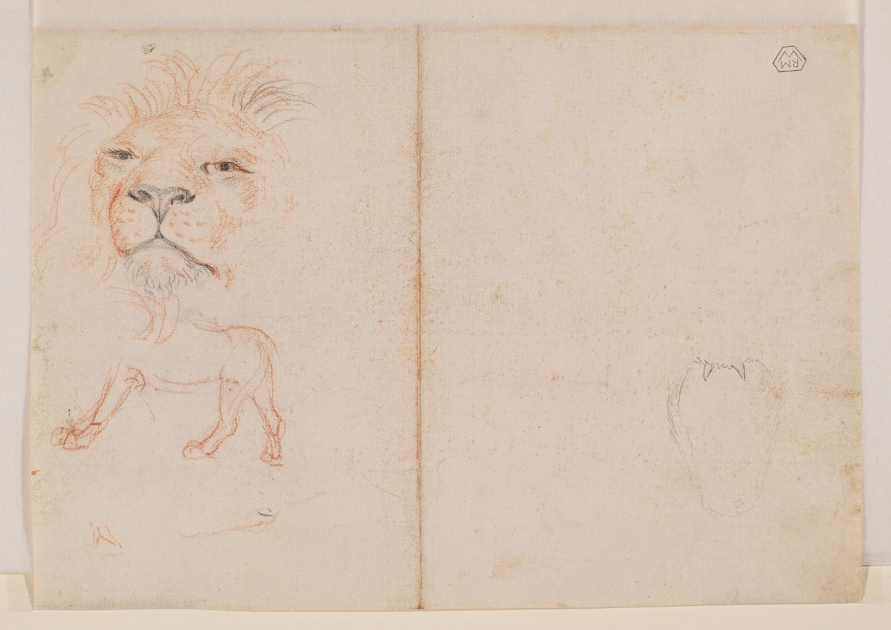 Głowa lwa, rewers, XVIII lub XIX w. autorstwa George Stubbs