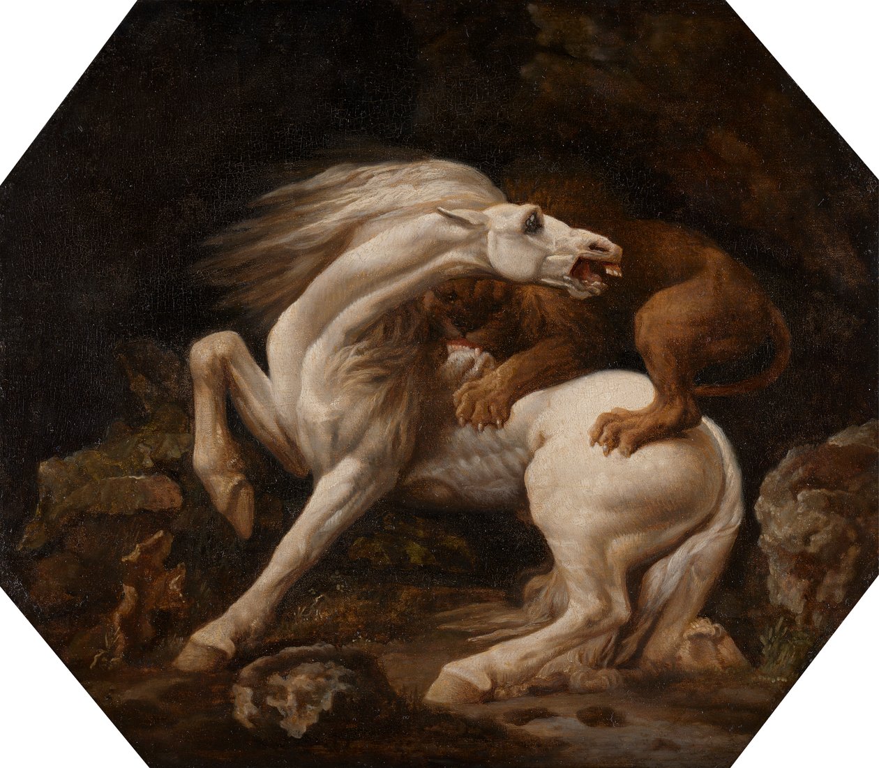 Koń zaatakowany przez lwa (odcinek C) autorstwa George Stubbs