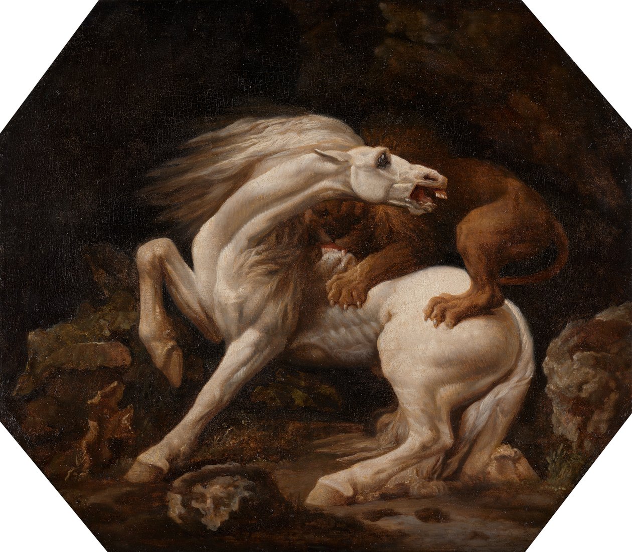 Koń zaatakowany przez lwa, odcinek C, między 1768 a 1769 rokiem. autorstwa George Stubbs