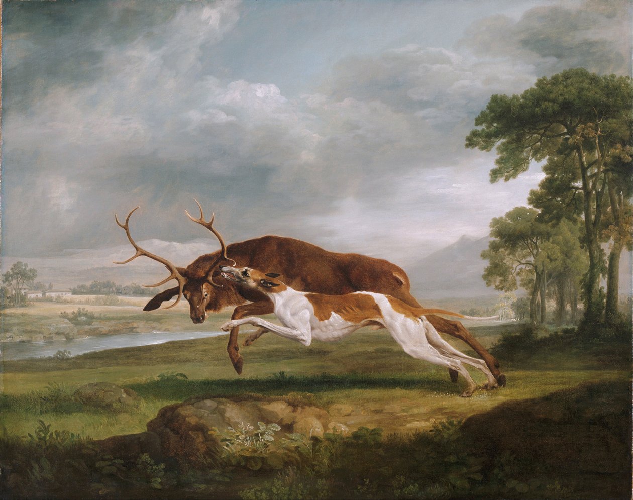 Pies biegający na jelenia autorstwa George Stubbs