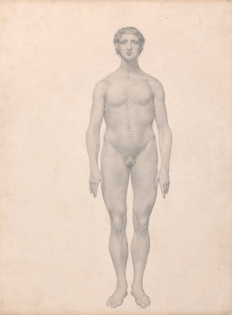 Postać ludzka, widok z przodu, niepreparowana (badanie zakończone dla tabeli VI) autorstwa George Stubbs