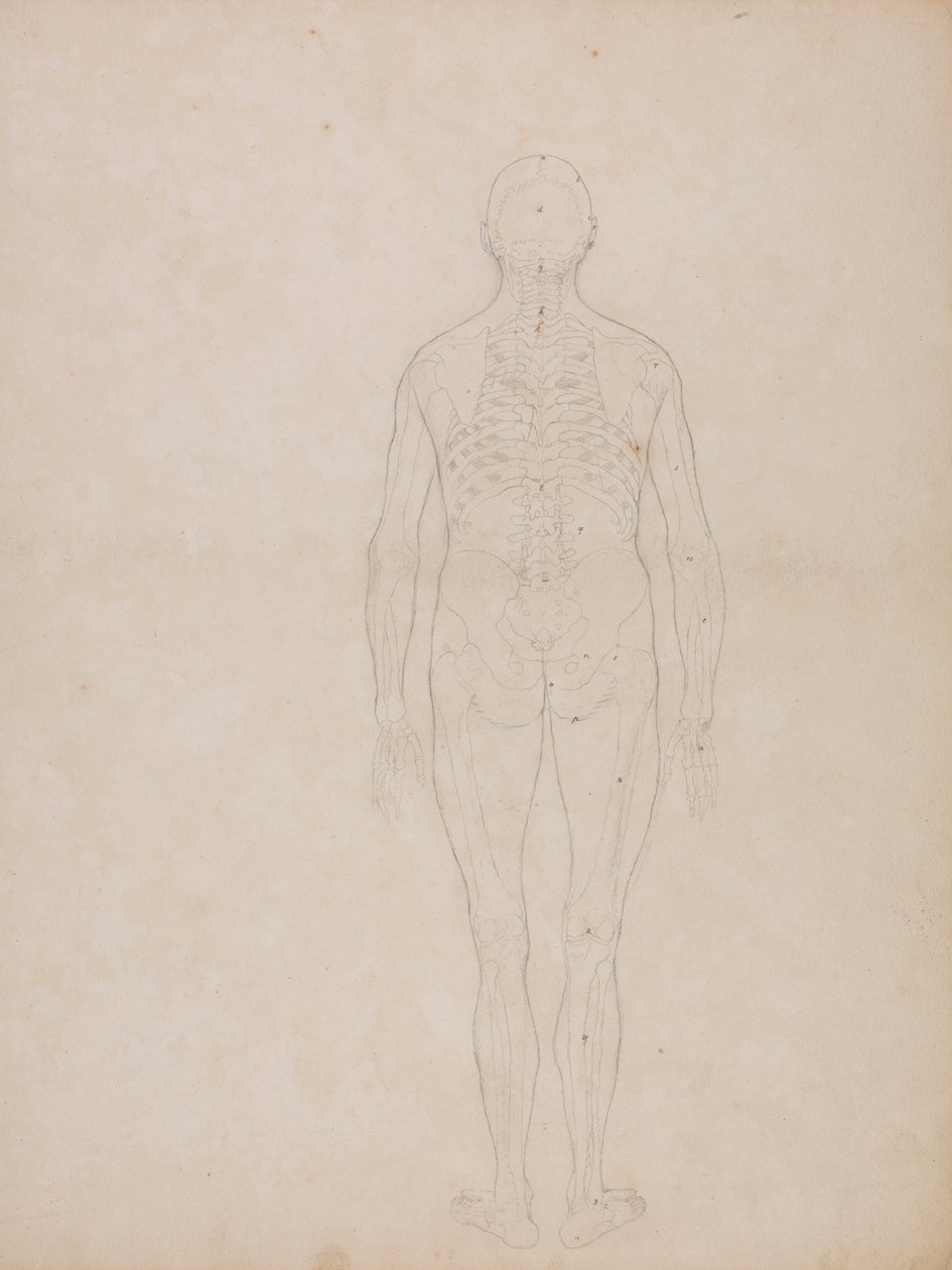 Postać ludzka, widok z tyłu autorstwa George Stubbs