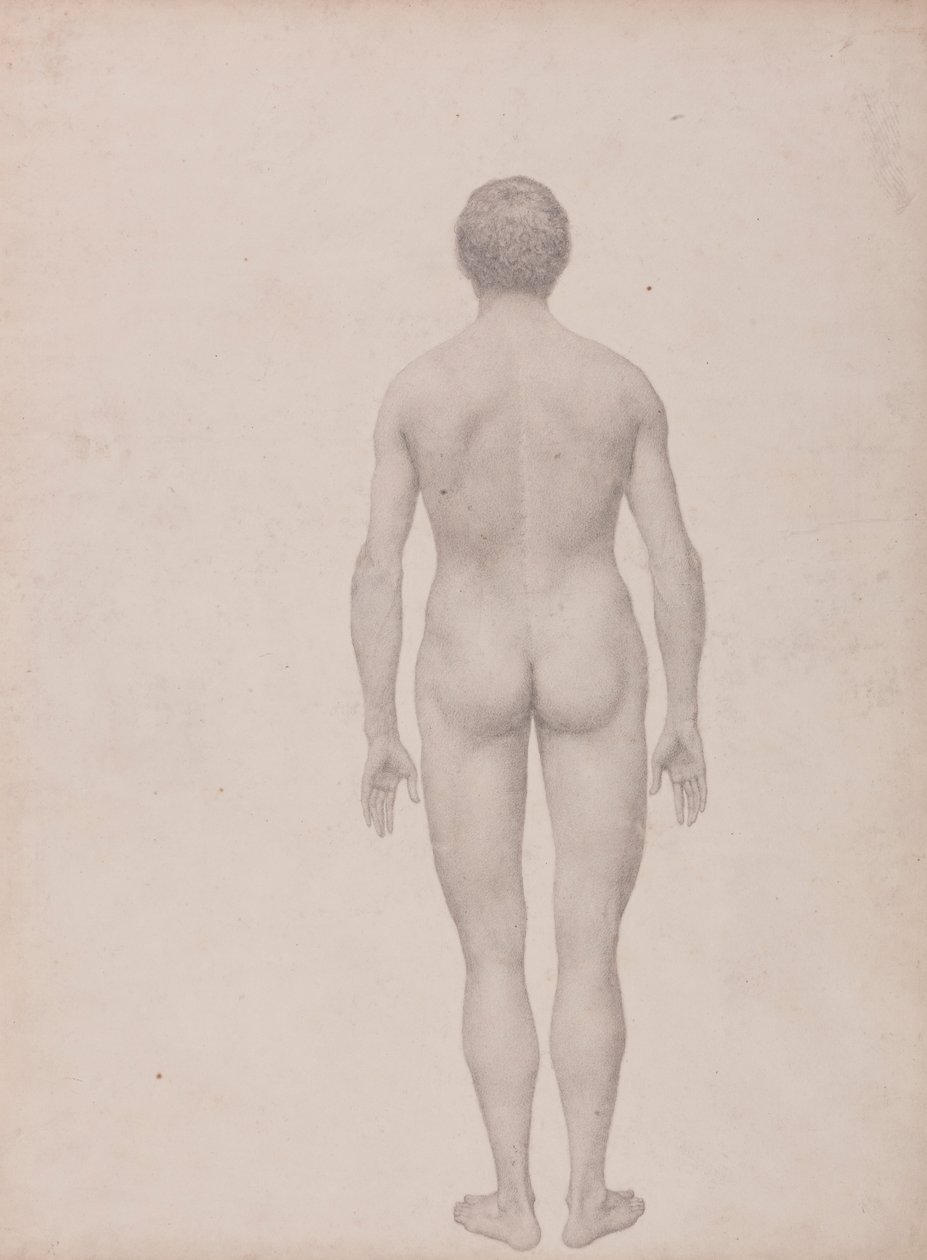 Postać ludzka, widok z tyłu, nierozdzielona (ukończone studium dla tabeli VII) autorstwa George Stubbs