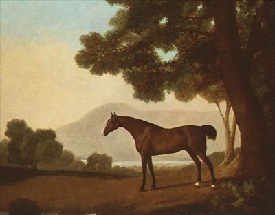 „Johnny”, gniady ogier w zalesionym krajobrazie autorstwa George Stubbs