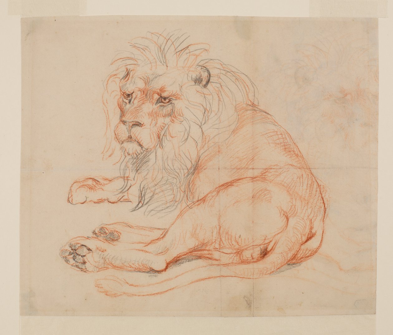 Lew odpoczywający, prosto, XVIII lub XIX w. autorstwa George Stubbs
