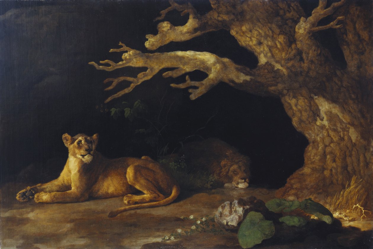 Lwica i jaskinia autorstwa George Stubbs