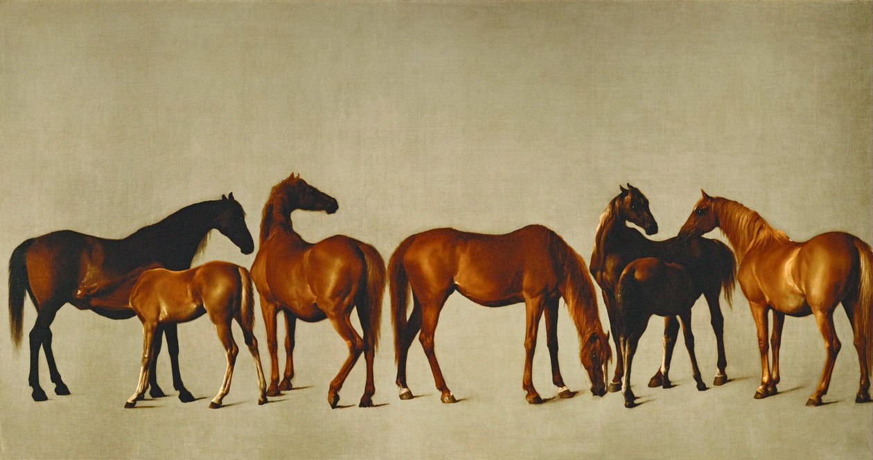 Klacze i źrebięta (olej na płótnie) autorstwa George Stubbs