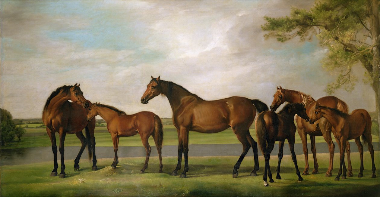 Klacze i źrebięta zaniepokojone zbliżającą się burzą, 1764-66 autorstwa George Stubbs