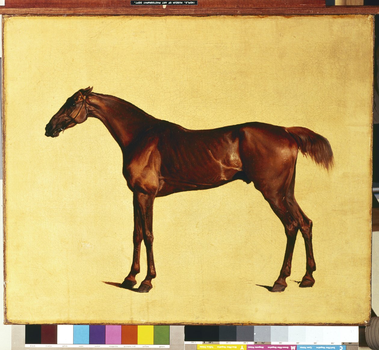 Pangloss (olej na płótnie) autorstwa George Stubbs