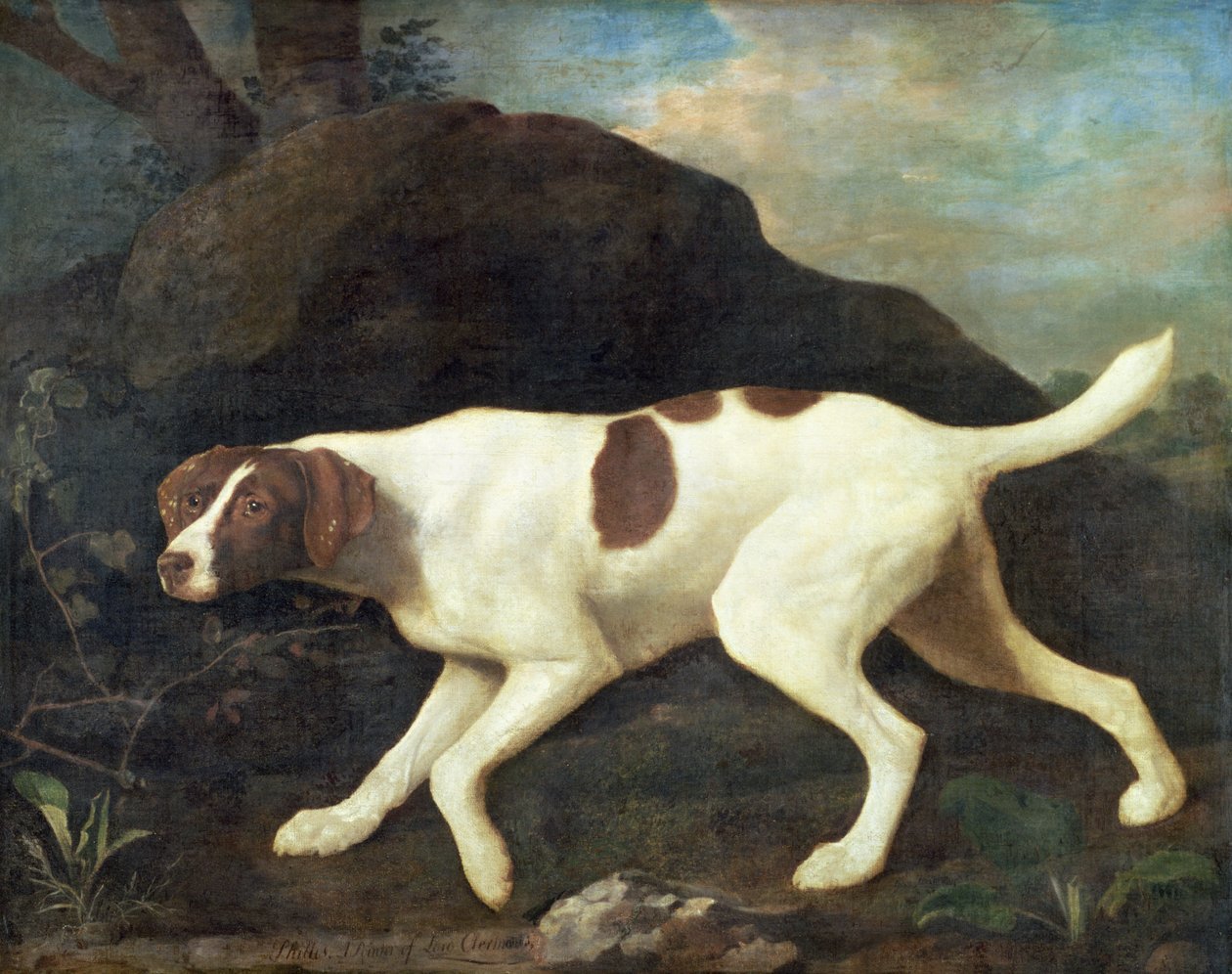 Phillis, wskaźnik lorda Clermonta autorstwa George Stubbs