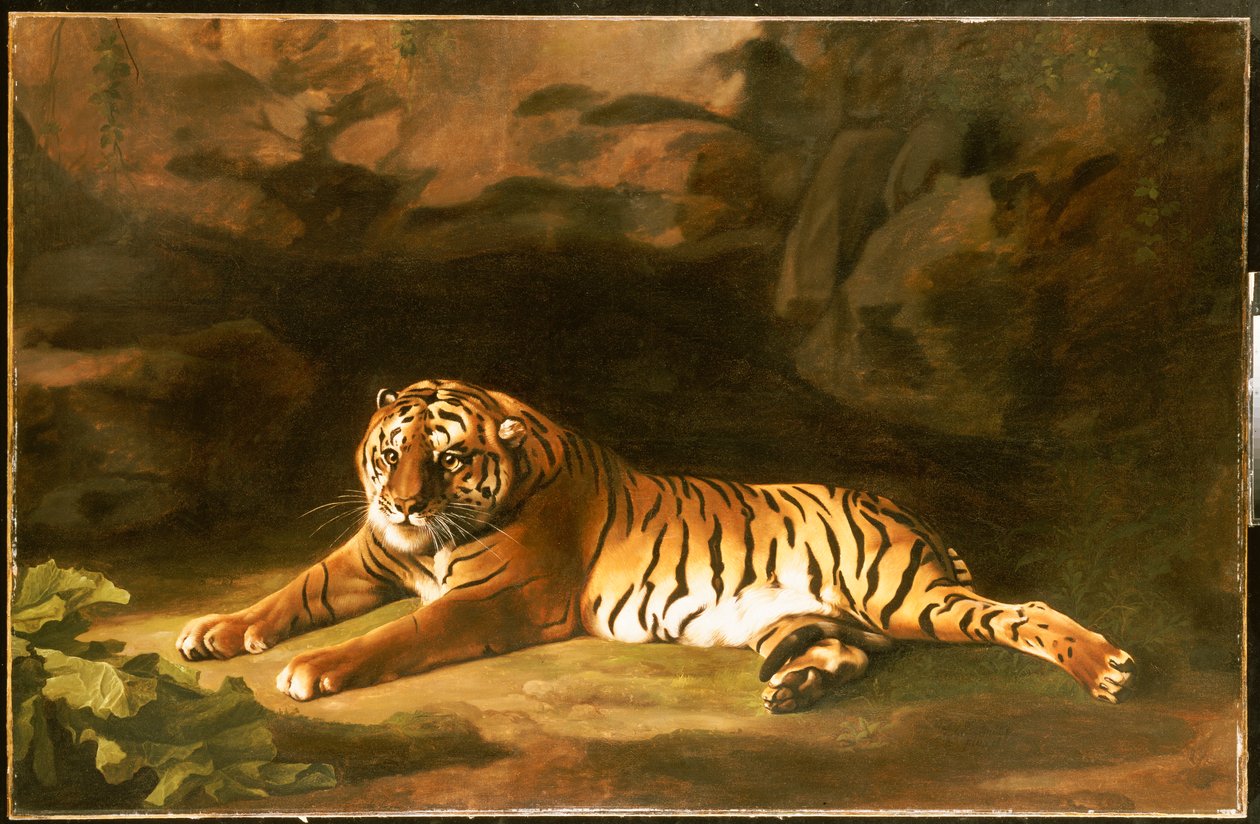 Portret Tygrysa Królewskiego, ok. 1770 autorstwa George Stubbs