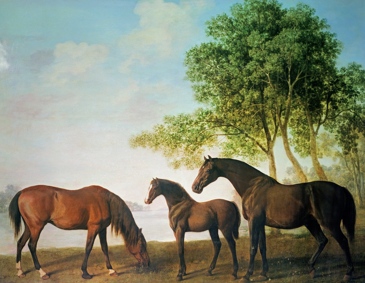 Klacze Shafto i źrebię autorstwa George Stubbs