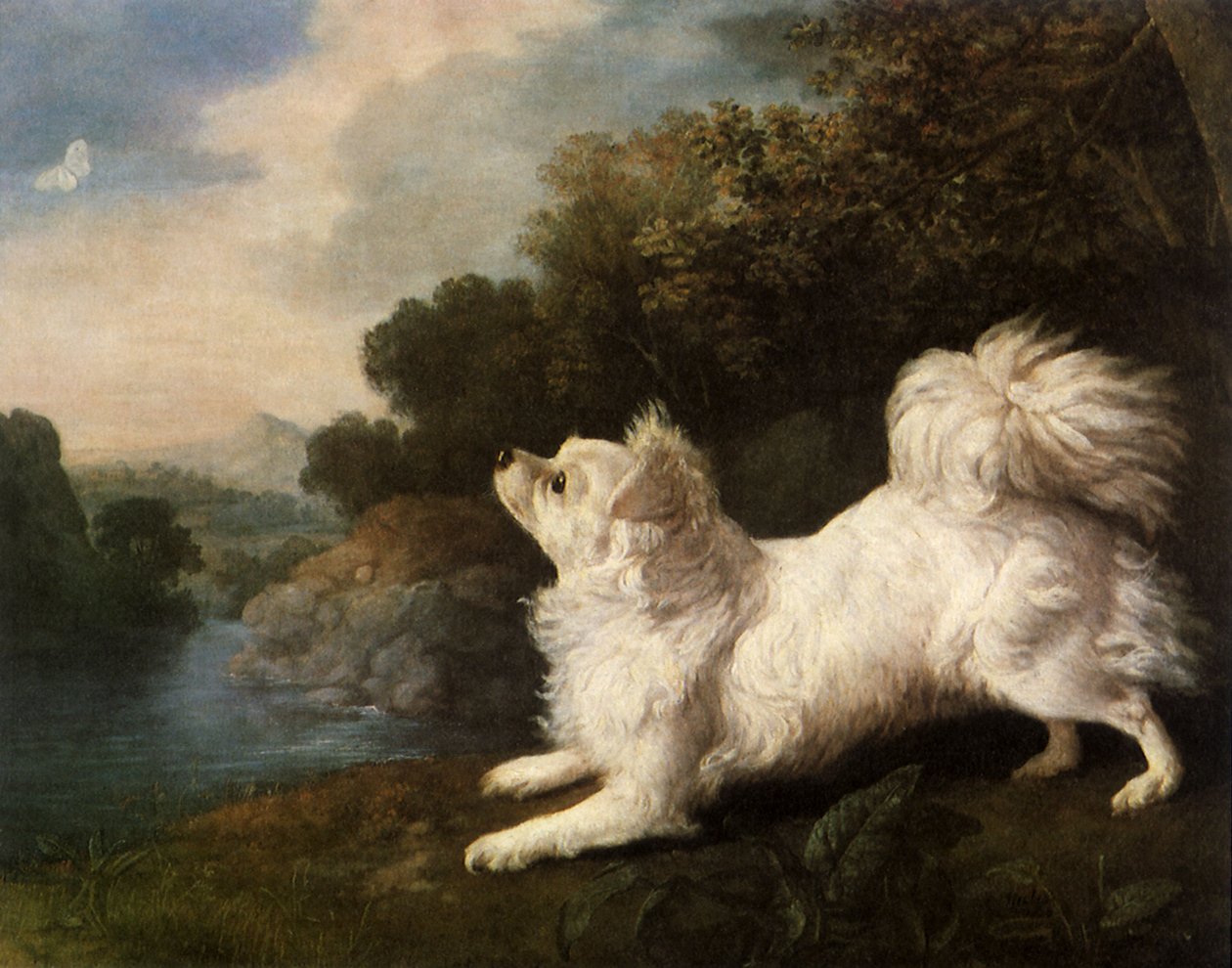 Spaniel należący do malarza Coswaya goniącego motyla, 1775 autorstwa George Stubbs