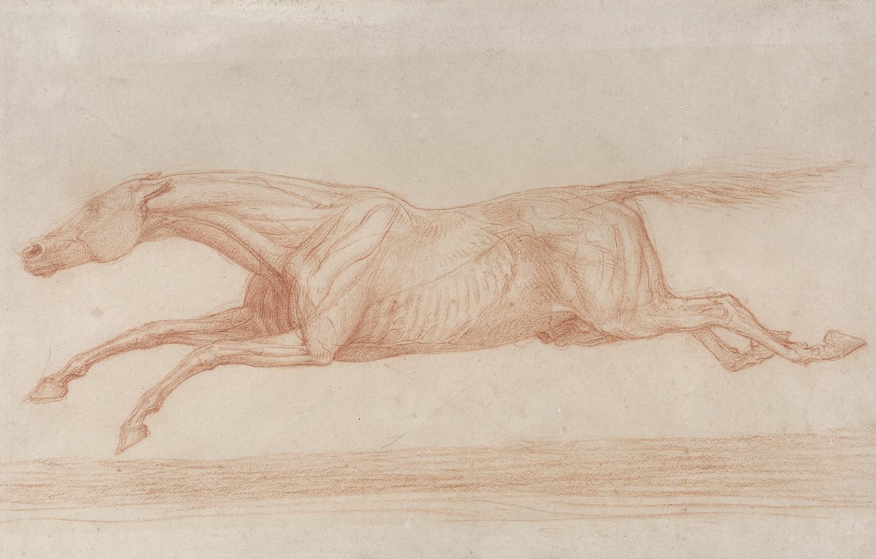 Studium konia wyścigowego w akcji: galop w lewo (czerwona kreda na papierze bufiastym) autorstwa George Stubbs