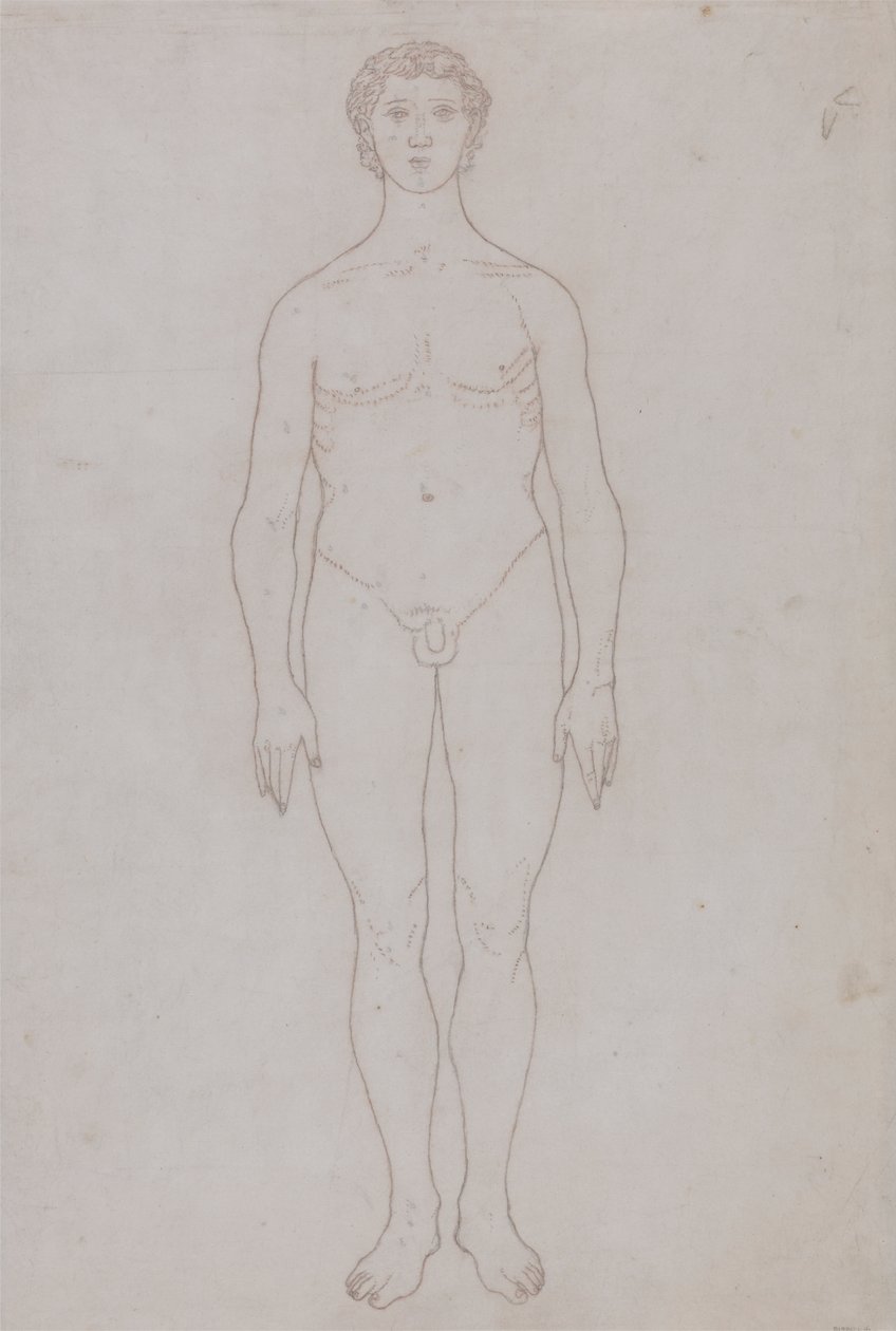 Studium postaci ludzkiej, widok z przodu (szkic do tabeli VI) autorstwa George Stubbs