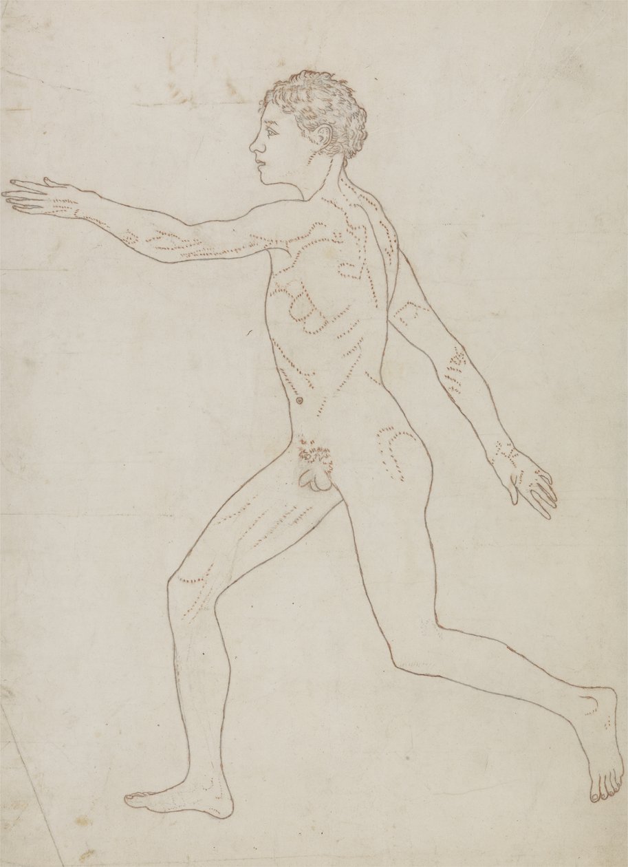 Studium postaci ludzkiej, widok boczny, z „Porównawczej ekspozycji anatomicznej budowy ciała ludzkiego z ciałem tygrysa i drobiu zwyczajnego”, c.1795-1806 (grafit na papierze) autorstwa George Stubbs